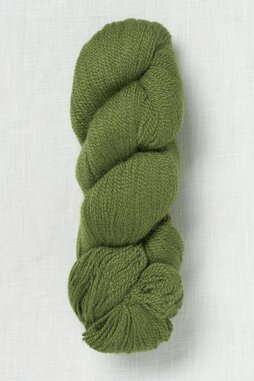 Image of Juniper Moon Farm Herriot Fine 2062 Asparagus (Discontinued)