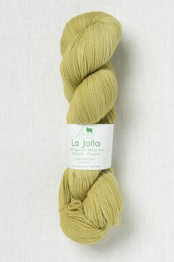 Image of Baah Yarn La Jolla Cactus What You Preach