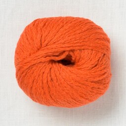 Image of Wooladdicts Honesty 76 Orange