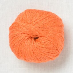 Image of Wooladdicts Honesty 59 Pumpkin