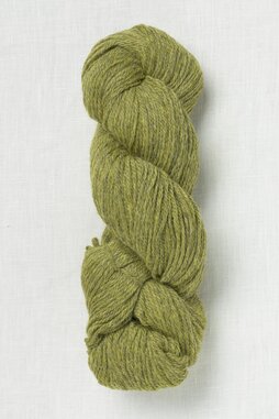 Image of Cascade Woolpaka 12 Turtle