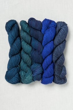 Image of Malabrigo Caprino 741 Quinteto 4 (Set of 5 Full Size Skeins)