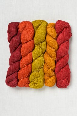 Image of Malabrigo Caprino 739 Quinteto 2 (Set of 5 Full Size Skeins)