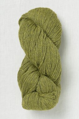 Image of Cascade 220 Grande 2452 Turtle