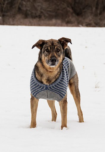Wool & Co. Feature Pattern of the Week - Bird Island Dog Sweater