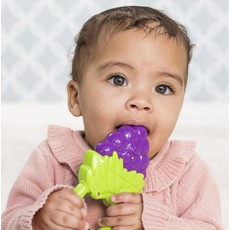 vibrating fruit teether
