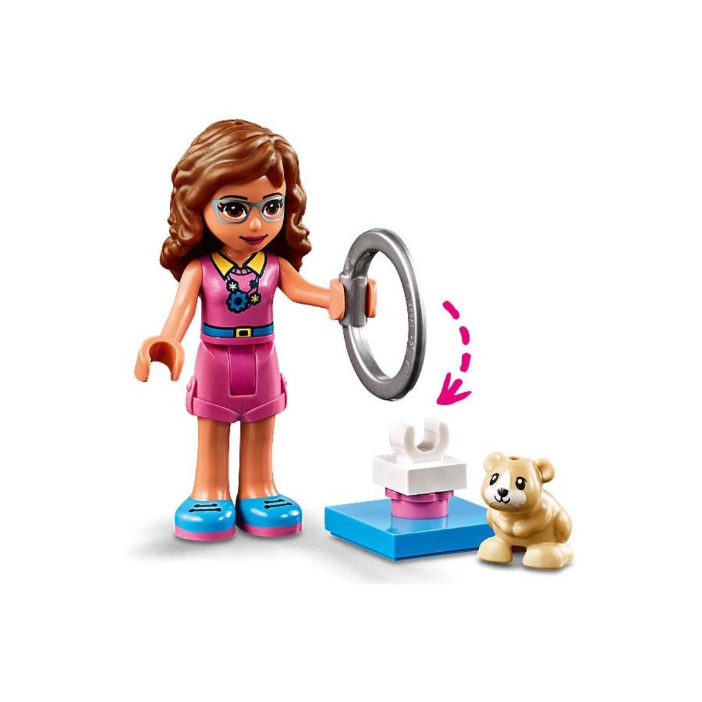 olivia's hamster playground