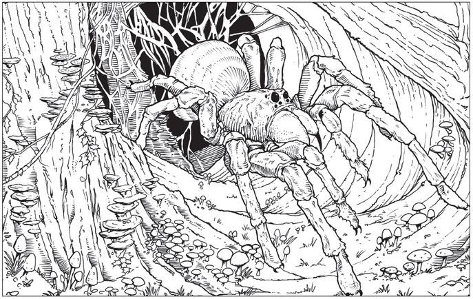 HARRY POTTER MAGICAL CREATURES COLORING BOOK - THE TOY STORE