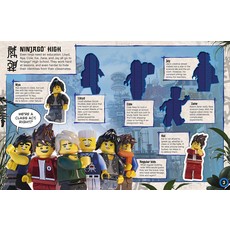 DK PUBLISHING LEGO NINJAGO MOVIE ULTIMATE STICKER BOOK