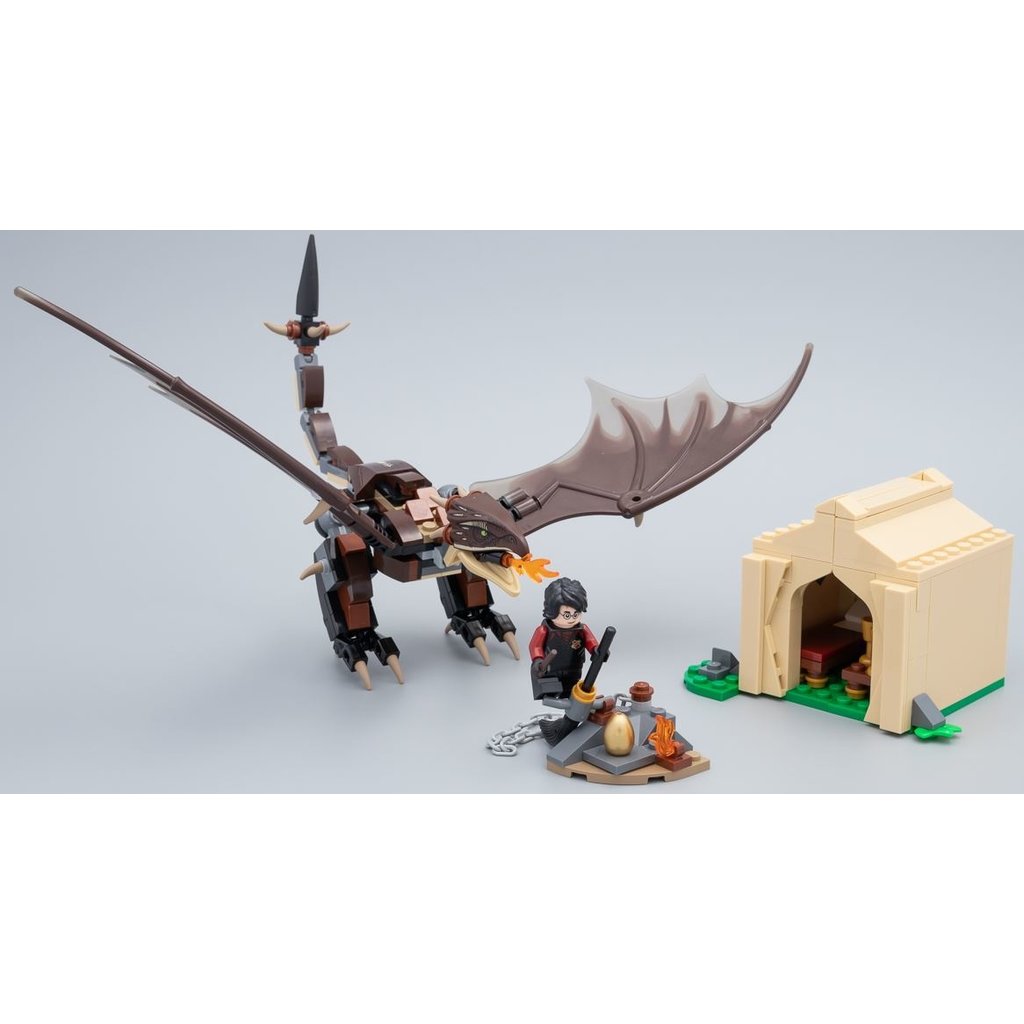 hungarian horntail triwizard challenge