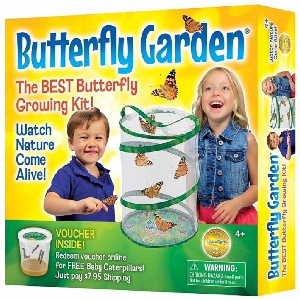 INSECT LORE BUTTERFLY GARDEN
