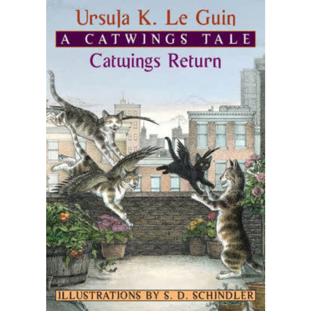 ATHENEUM BOOKS FOR YOUNG READERS CATWINGS RETURN (CATWINGS 2)