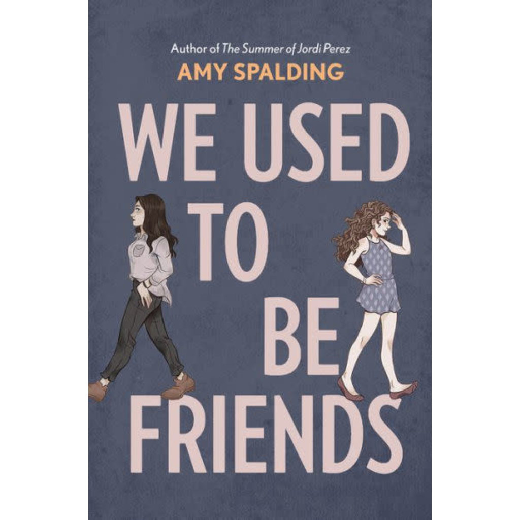 ABRAMS BOOKS WE USED TO BE FRIENDS