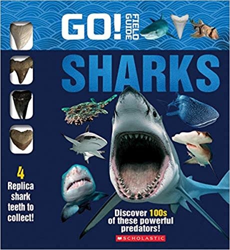 GO! FIELD GUIDE: SHARKS