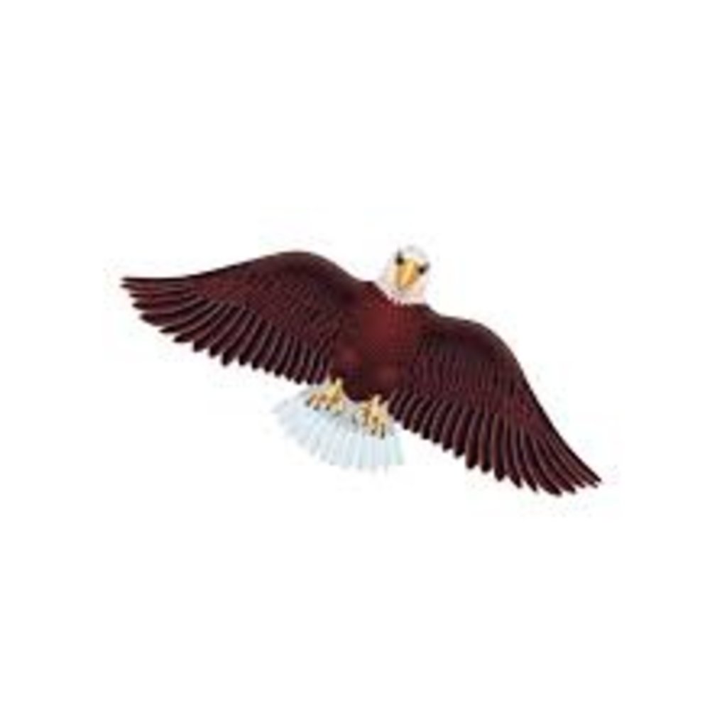 55'' OSPREY KITE WITH 200FEET OF TWINE AND REALISTIC WING FLAPPIING MOTION by wildlifekites for sale online 