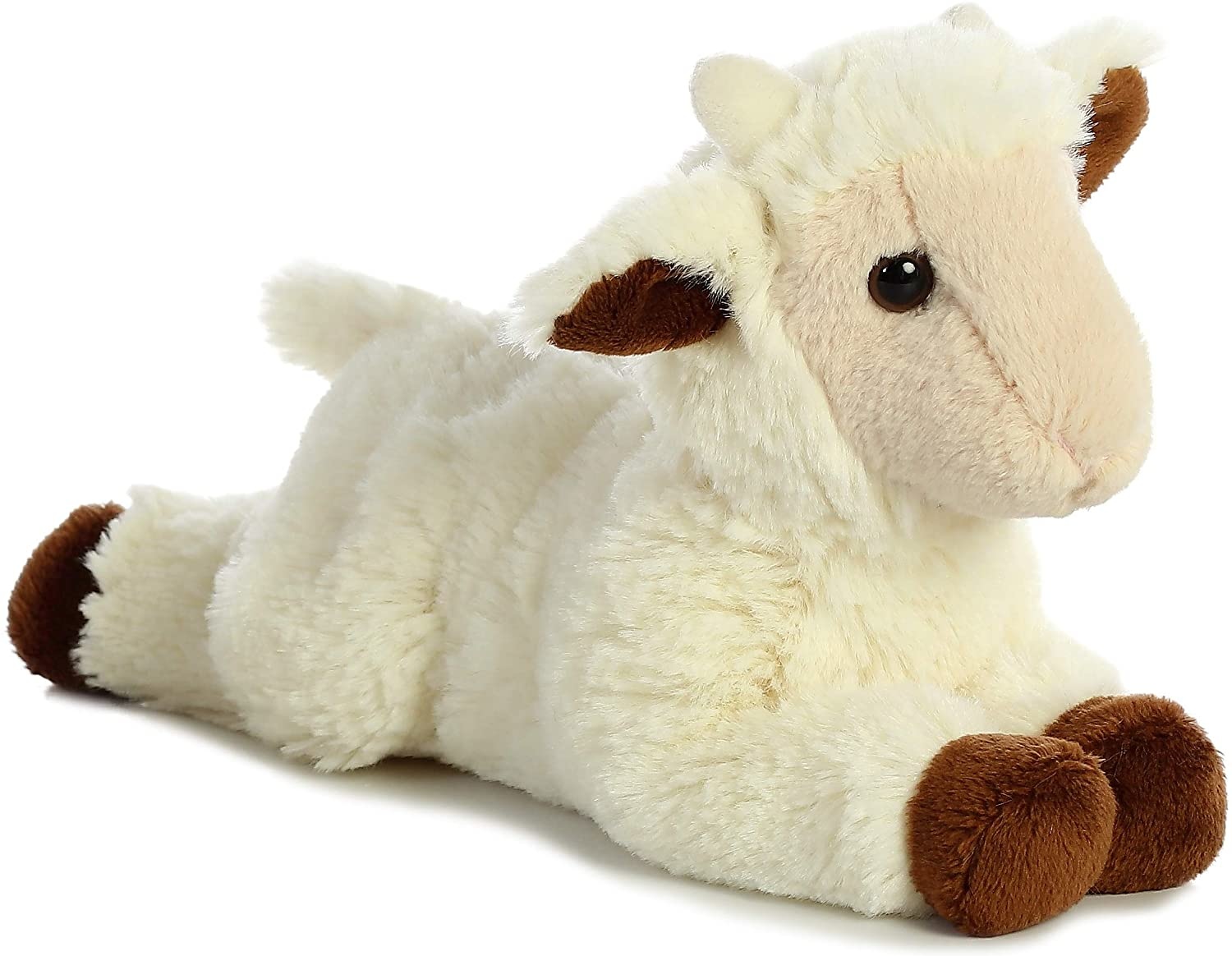 bashful goat