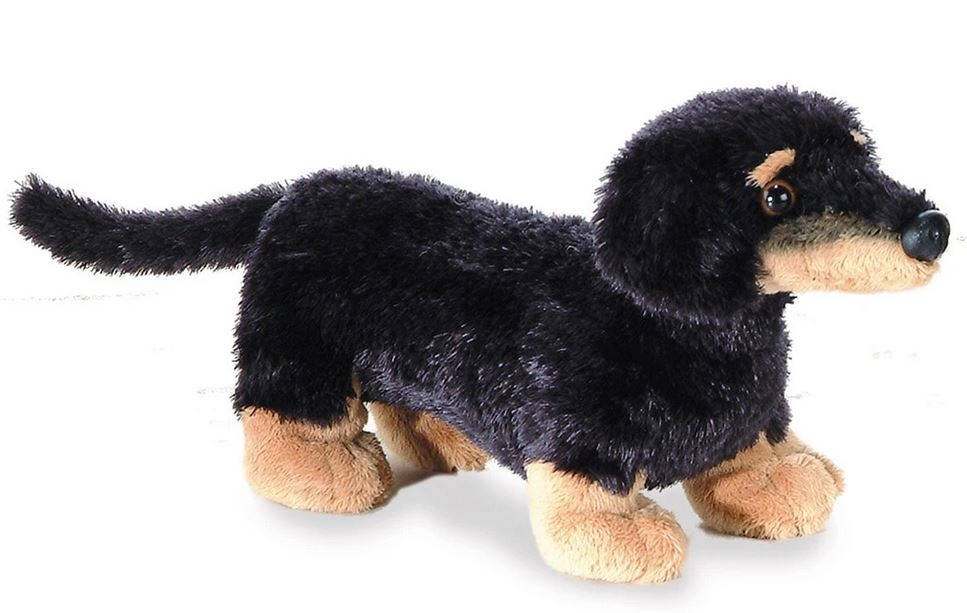 Toy top mini dachshund
