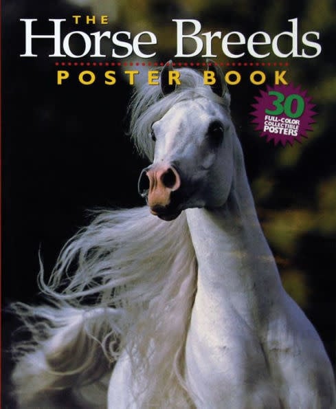 HORSE BREEDS POSTER BOOK PB LANGRISH*
