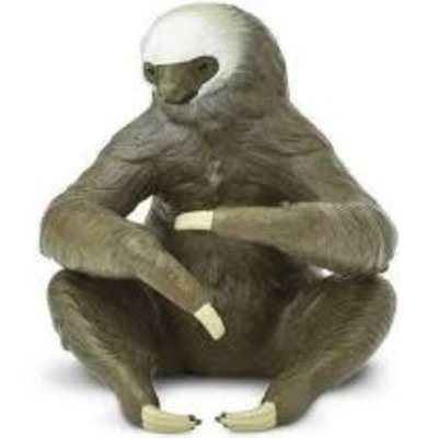 SAFARI SAFARI TWO TOED SLOTH