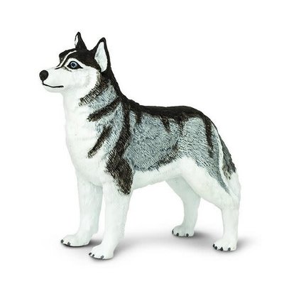 Douglas Dog: Sasha Husky - toys et cetera