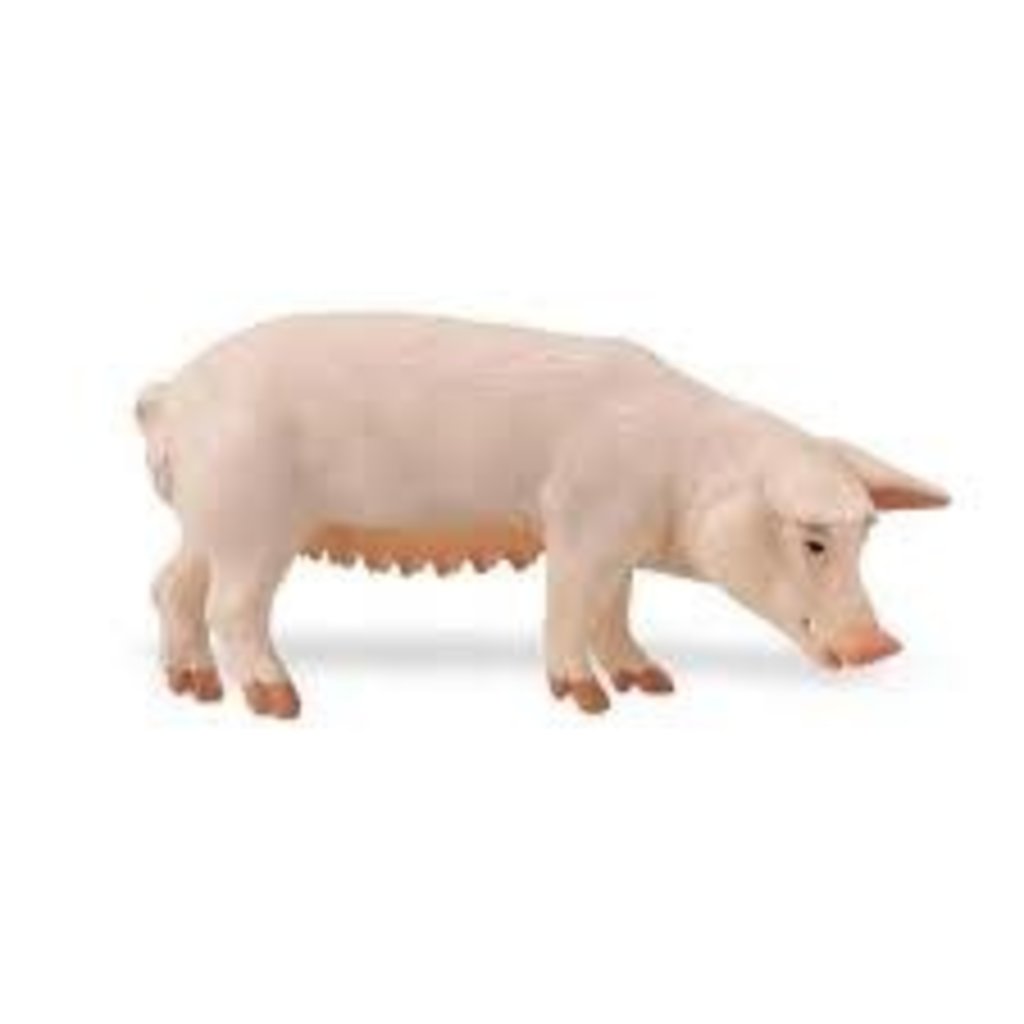 SAFARI SAFARI CLASSIC PIG