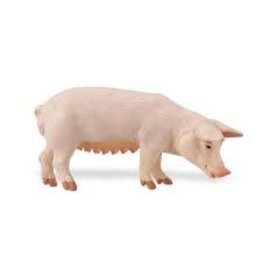SAFARI SAFARI CLASSIC PIG