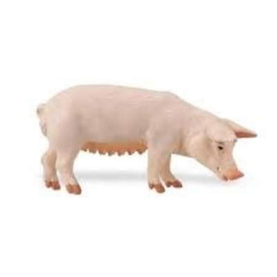 SAFARI SAFARI CLASSIC PIG
