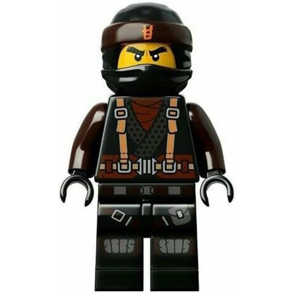 lego ninjago spinjitzu dragon masters