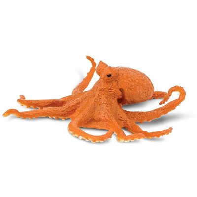 SAFARI SAFARI OCTOPUS
