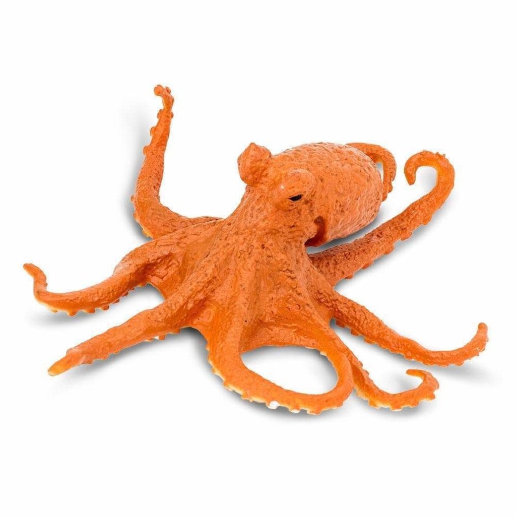 SAFARI SAFARI OCTOPUS