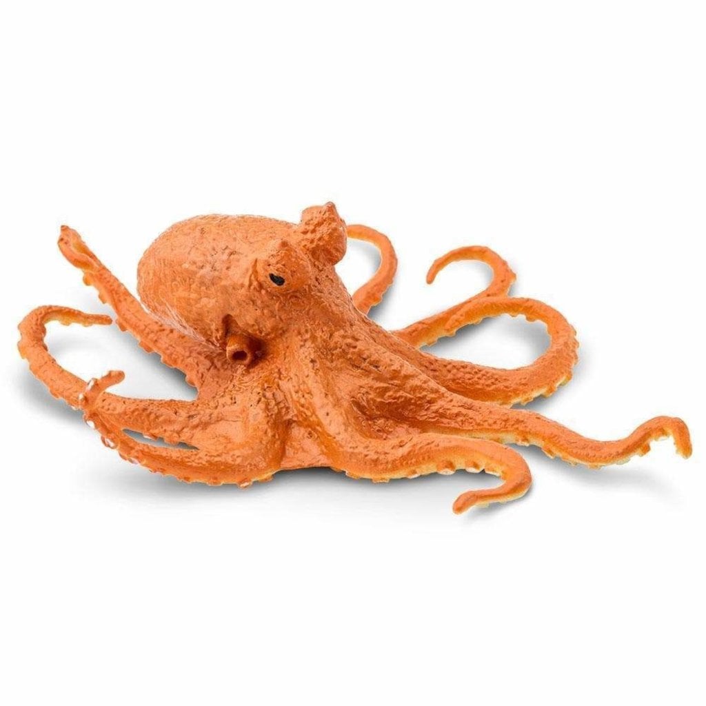 SAFARI SAFARI OCTOPUS