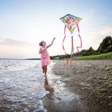 PREMIER KITE UNICORN 25" DIAMOND KITE