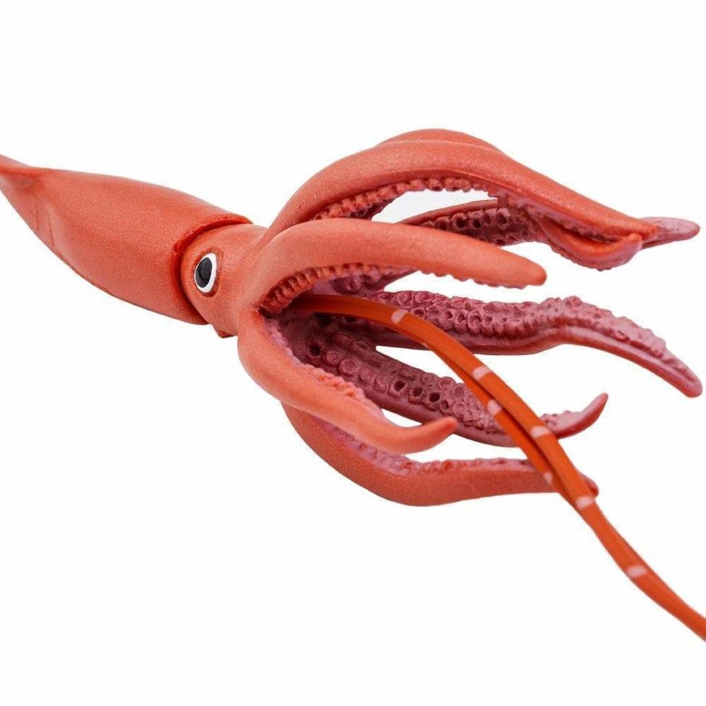 SAFARI SAFARI GIANT SQUID
