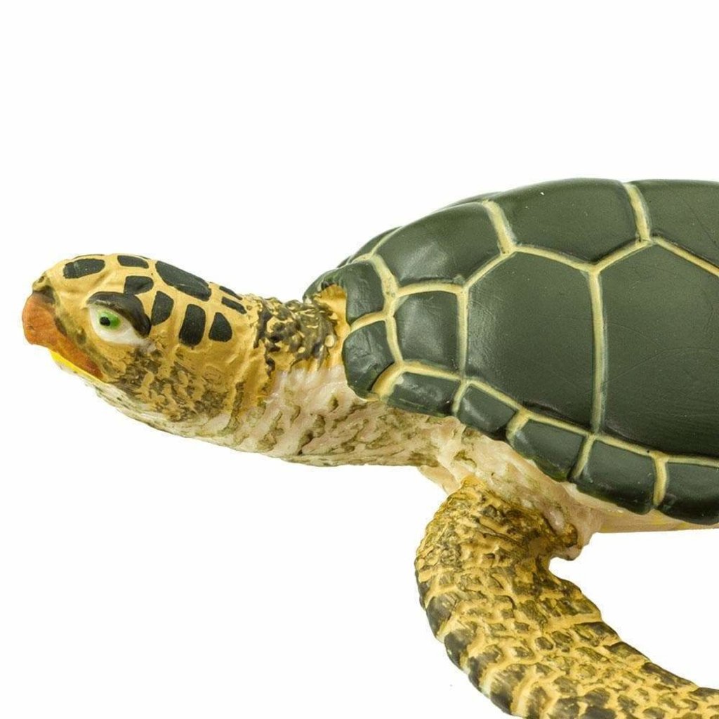 SAFARI SAFARI GREEN SEA TURTLE
