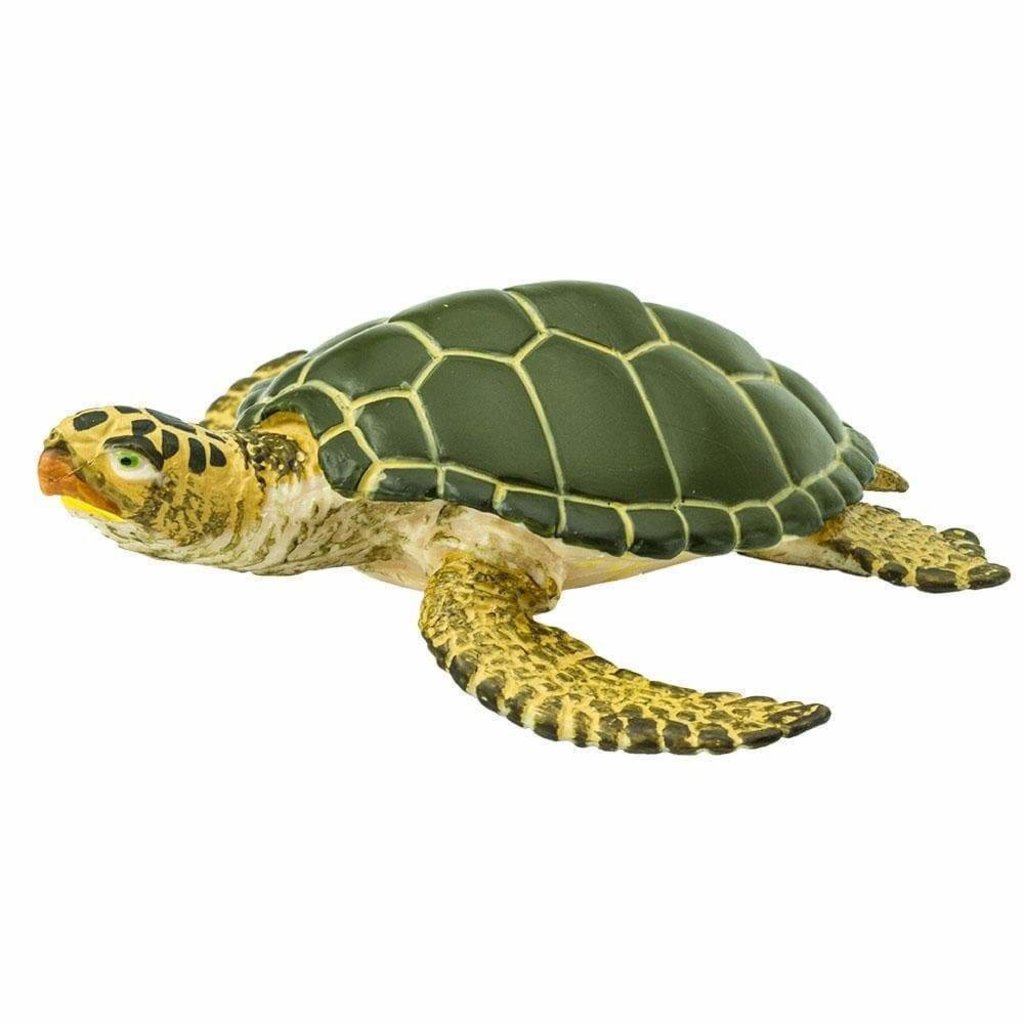 SAFARI SAFARI GREEN SEA TURTLE