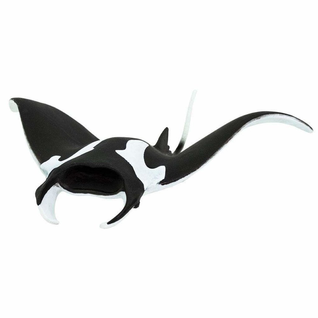 SAFARI MANTA RAY SAFARI*