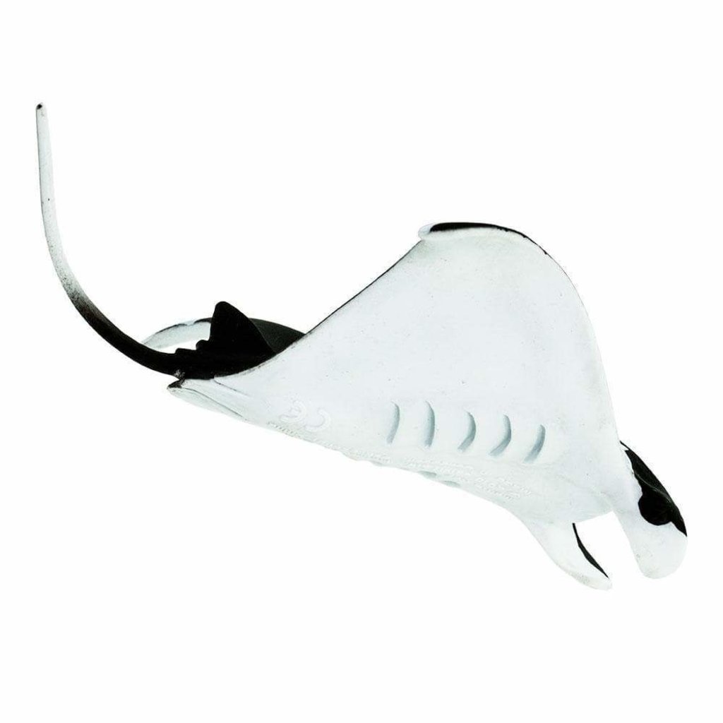 SAFARI MANTA RAY SAFARI*