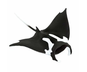 【中古】 Estratexa Manta Ray safari-manta-ray-safari.jpg