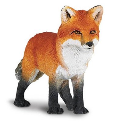 SAFARI SAFARI FOX