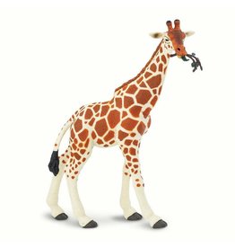 SAFARI SAFARI RETICULATED GIRAFFE