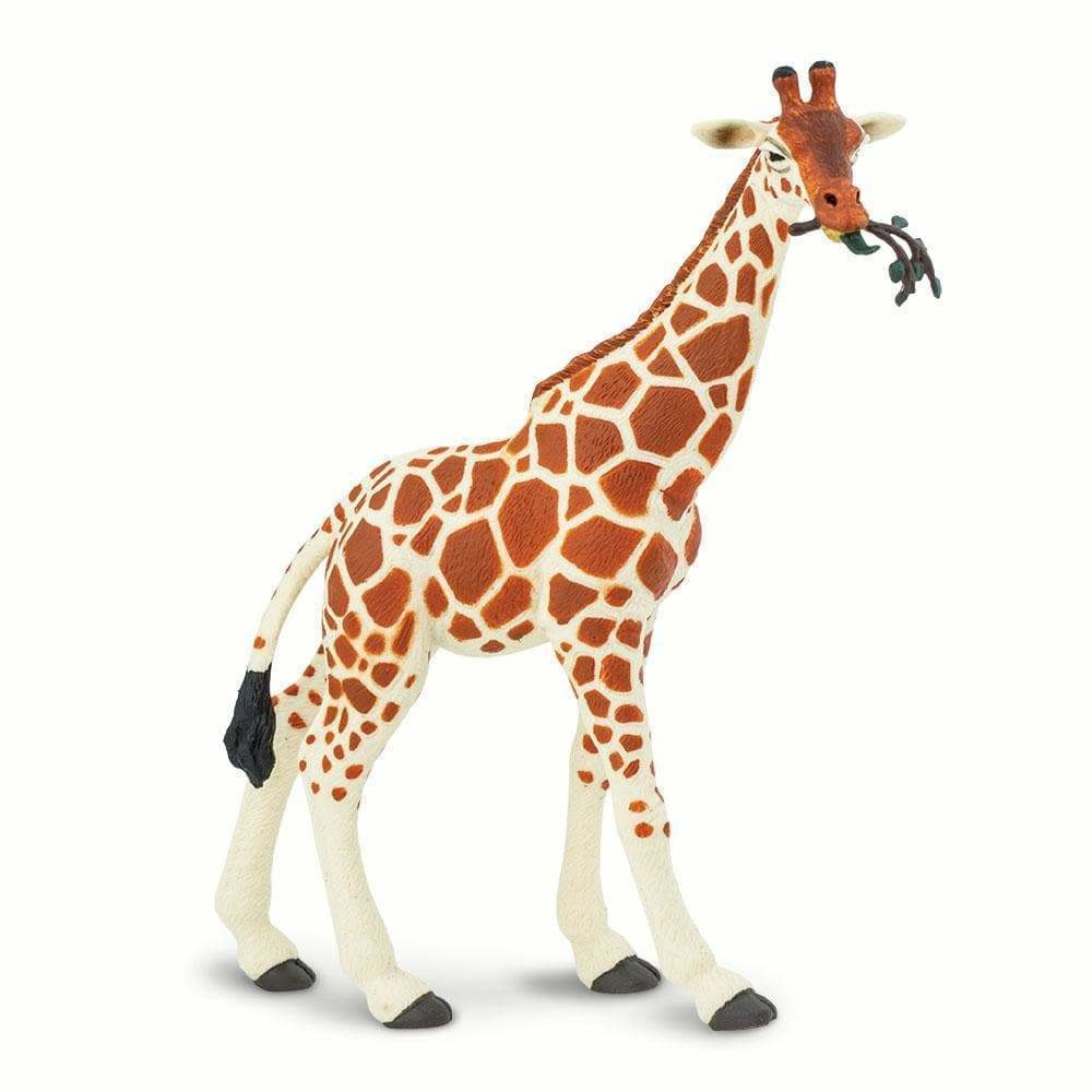 safari toy giraffes