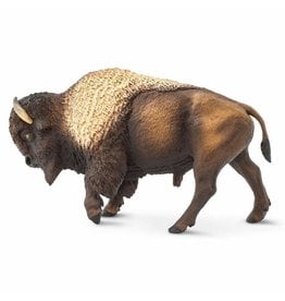 SAFARI SAFARI BISON
