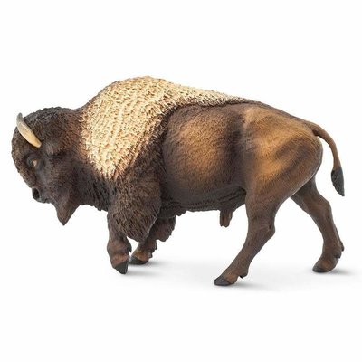 SAFARI SAFARI BISON