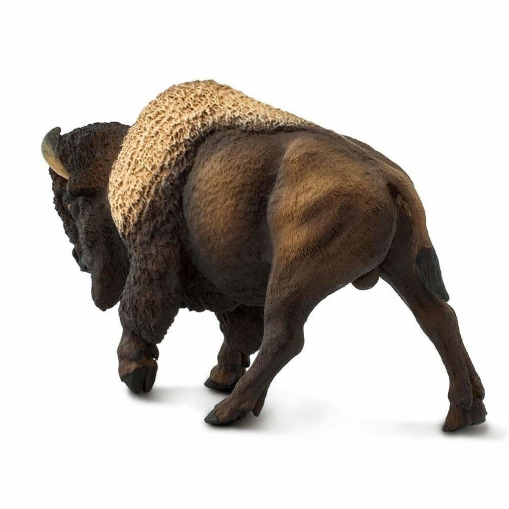 SAFARI SAFARI BISON
