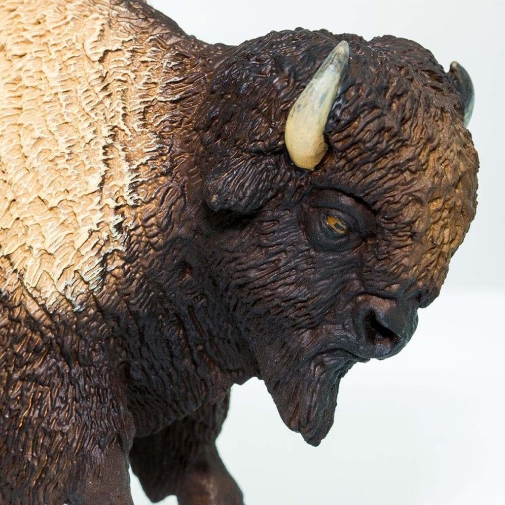 SAFARI SAFARI BISON