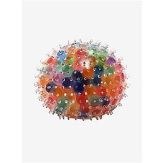 GLOBBIE SQUEEZE BALL