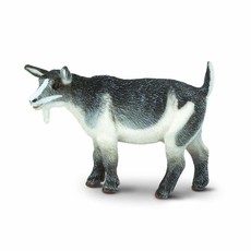 SAFARI SAFARI PYGMY NANNY GOAT