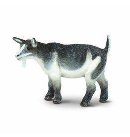 SAFARI SAFARI PYGMY NANNY GOAT