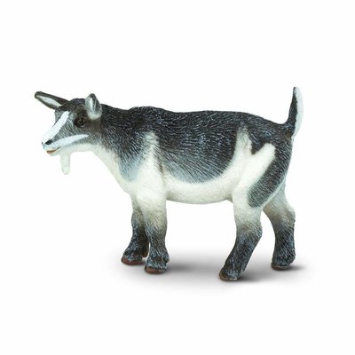 SAFARI SAFARI PYGMY NANNY GOAT