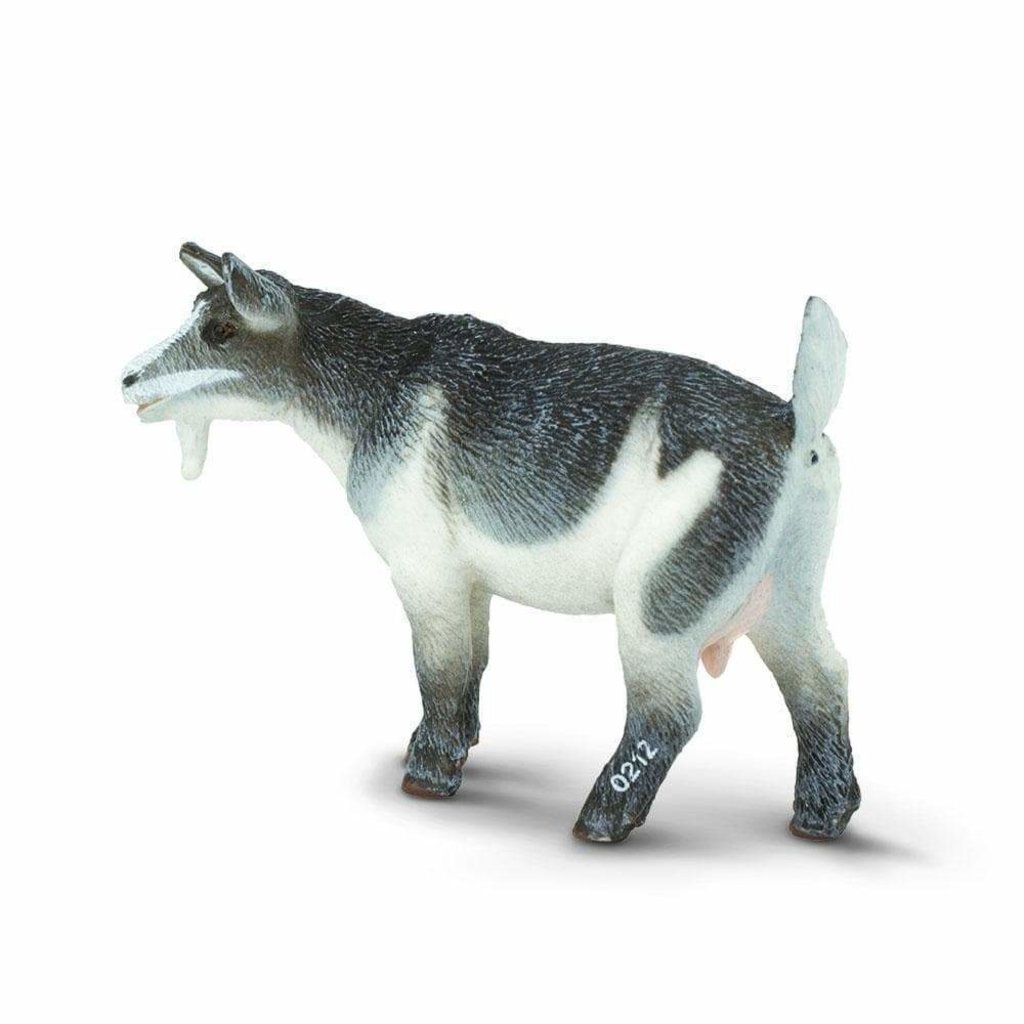 SAFARI SAFARI PYGMY NANNY GOAT